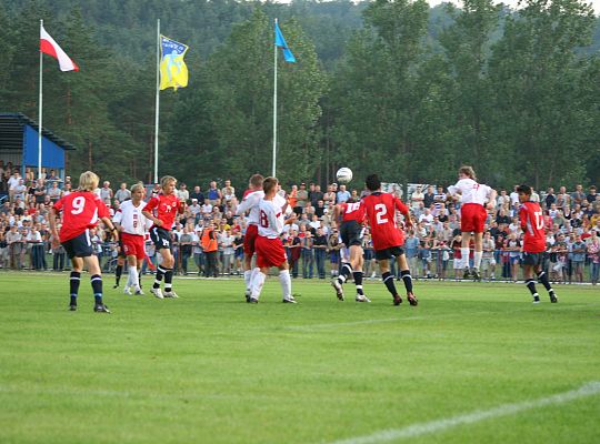 Grafika 8. Stadion Miejski