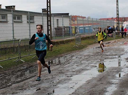 Grafika 26. Zawodnicy