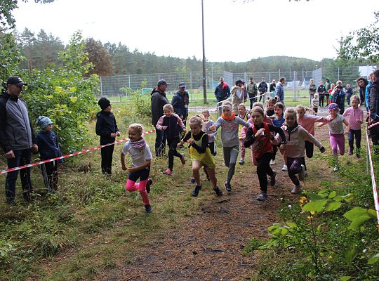 Grafika 6. Start zawodników w kategorii "krasnale" dziewczęta