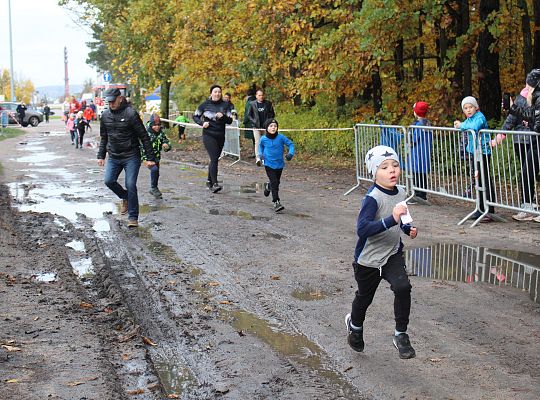 Grafika 5. Zawodnicy na trasie biegu