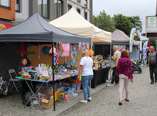 Grafika 1. Stoiska