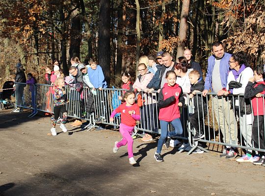 Grafika 4. Zawodnicy na trasie biegu