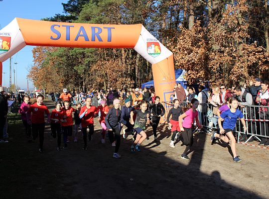 Grafika 18. Zawodniczki na starcie biegu