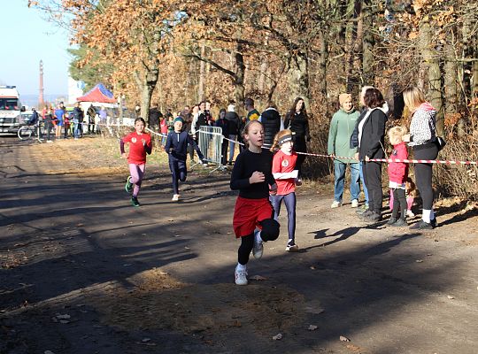 Grafika 20. Zawodniczki na trasie biegu