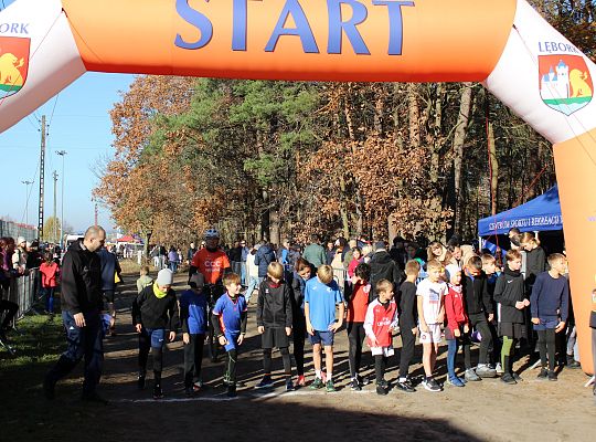 Grafika 21. Zawodnicy na starcie biegu