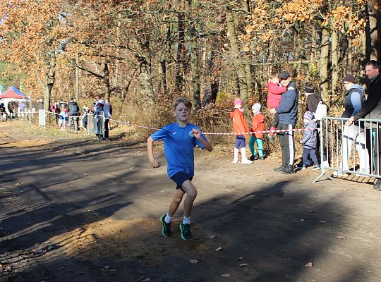Grafika 23. Zawodnik na trasie biegu