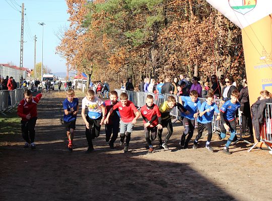 Grafika 31. Zawodnicy na starcie biegu