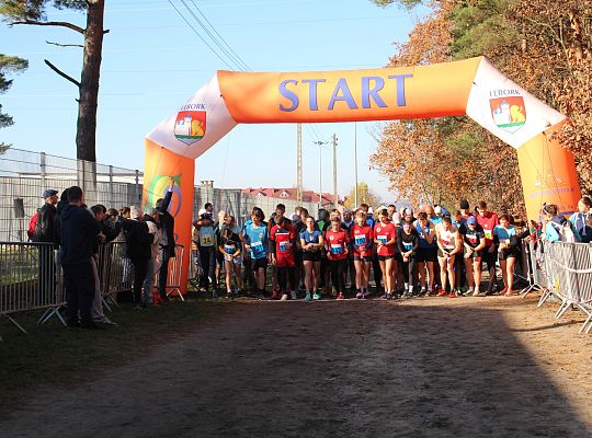 Grafika 46. Zawodnicy na starcie biegu głównego