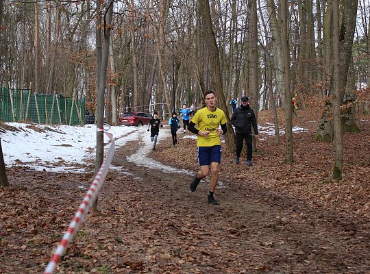 Grafika 9. Uczestnicy na trasie biegu