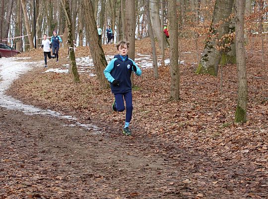 Grafika 10. Uczestnicy na trasie biegu