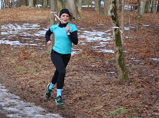 Grafika 23. Uczestnik na trasie biegu