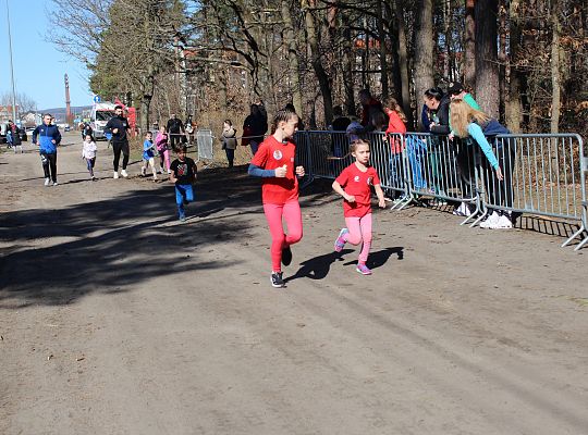 Grafika 6. Zawodnicy na trasie biegu