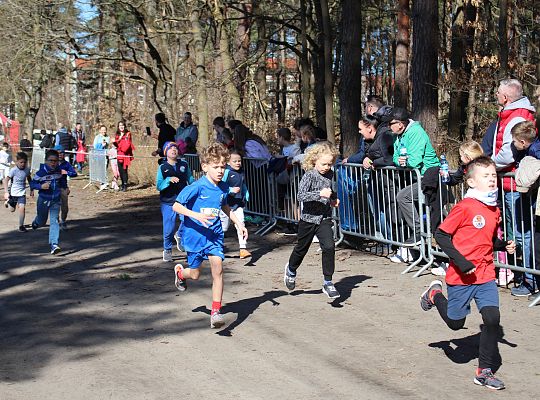 Grafika 15. Zawodnicy na trasie biegu