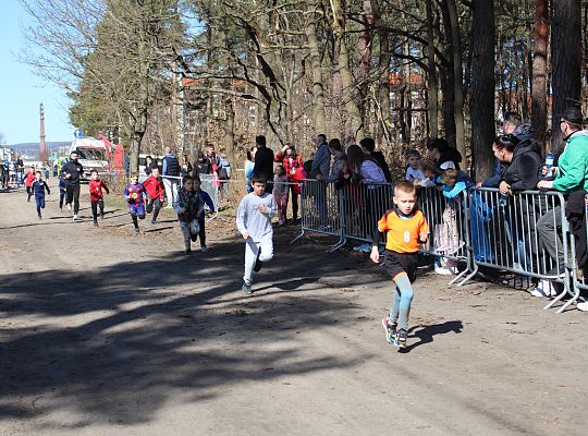 Grafika 16. Zawodnicy na trasie biegu