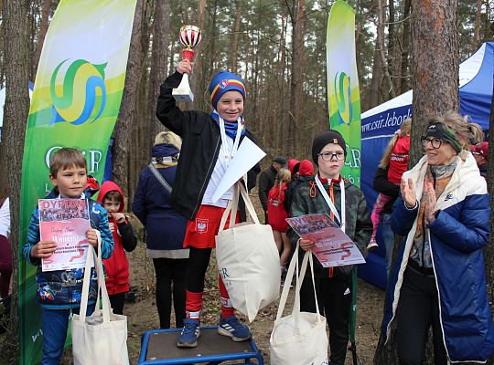 Grafika 19. Dekoracja w kategorii "skrzaty" chłopcy