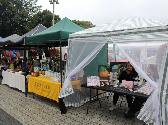 Grafika 3. Zgłoszenia wystawców - Pożegnanie lata z Ceramicznym Lęborkiem