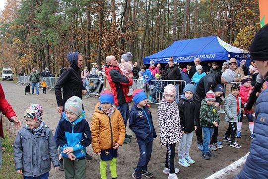 Grafika 2. Biegi z okazji Święta Niepodległości