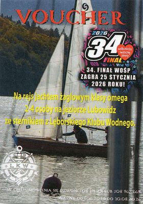 Grafika 4. Aukcje allegro dla Wielkiej Orkiestry Świątecznej Pomocy