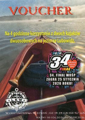 Grafika 5. Aukcje allegro dla Wielkiej Orkiestry Świątecznej Pomocy