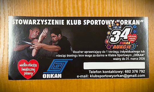 Grafika 11. Aukcje allegro dla Wielkiej Orkiestry Świątecznej Pomocy